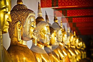 Row of Golden Budda Statues