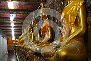 A row of golden buddha inside a temple in Thailand