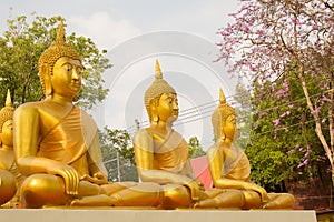 Row of Golden Buddha statue in Thailand Phichit, Thailand