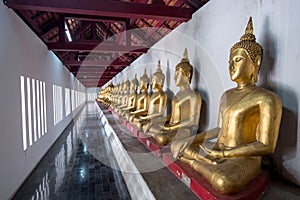 Row of golden buddha statues in the terrace of Wat Phra Sri Rattana Mahathat , Wat Yai or Wat Buddha Chinnarat temple