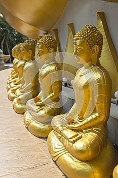 Row of Golden Buddha in Thailand