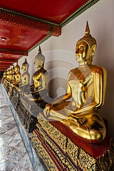 Row of Golden Buddhas