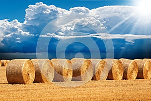 Row of Golden Hay Bales Against a Blue Sky with Cumulus Clouds