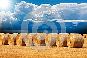 Row of Golden Hay Bales Against a Blue Sky with Cumulus Clouds