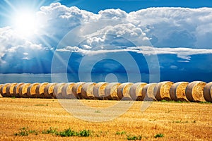 Row of Golden Hay Bales Against a Blue Sky with Cumulus Clouds