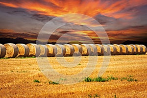 Row of Golden Hay Bales with Beautiful Sunset Sky - Italy