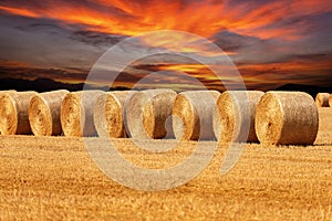 Row of Golden Hay Bales with Beautiful Sunset Sky - Italy