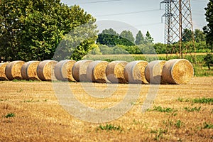 Row of Golden Hay Bales in a Sunny Summer Day - Padan Plain Italy