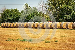 Row of Golden Hay Bales in a Sunny Summer Day - Padan Plain Italy