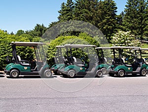 Row of golf carts