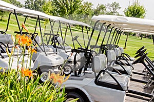 Row of Golf carts