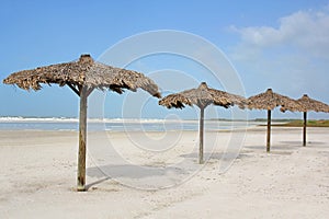 Row of Grass Beach Cabanas by the Ocean photo