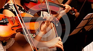 Row, group of anonymous violin players, children, people playing, bows in hands, stands in front, closeup. Classical music concert