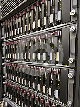 Row of hard drives photo