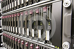 Row of hard drives photo