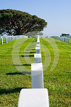 Row of headstones at a cemetery