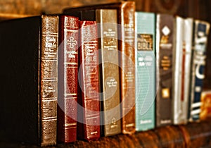 A Row of Holy Bibles photo