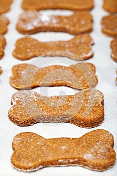 Row of Homemade Dog Cookies