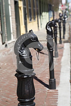 Row of horses head model in French Quarter New Orleans