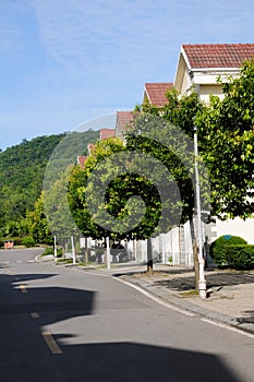 Row of houses along street