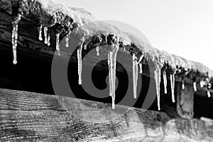 A row of icicles hanging from the barn roof, winter scene in black and white tones. Winter background