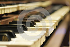 row of ivory and ebony keys of an organ during a recital