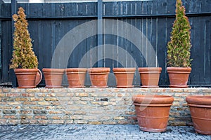 Row of large and small pots vases or containers for floristry, arranging and gardening -flowers, shrubs or trees in two growing a photo