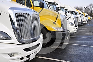 Row of large trucks