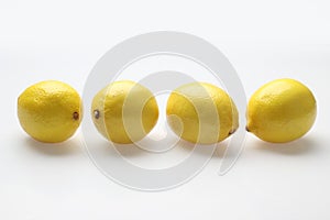 Row of Lemons