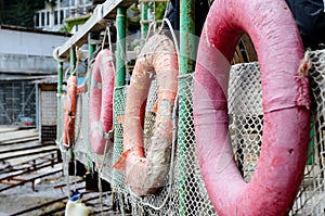 Row of Life Rings Hanging on Boat Railing