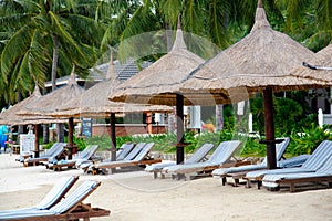 Row of lounge chair covered by beach umbrella thatched with palm leaves, coconut trees on white sandy shore of luxury resort in