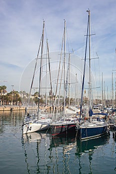 Row of luxury yachts mooring in a harbour