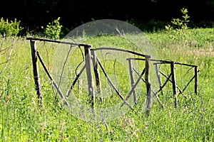 Row of makeshift small wooden support frames made of dry wooden boards and sticks used as support for planted trees and plants