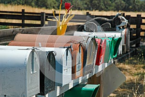 A row of metallic U.S. mailboxes