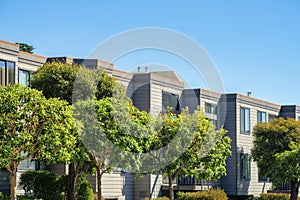 Row of modern houses or apartment buildings with vibrant and luch front yard trees in the suburban area of the sunny