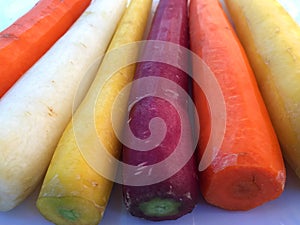 Row of multicolored carrots