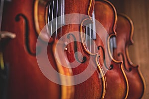 Row of multiple violins hanging on the wall, musician workshop