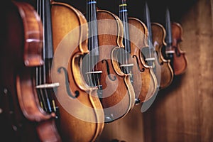 Row of multiple violins hanging on the wall, musician workshop