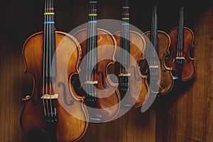 Row of multiple violins hanging on the wall, musician workshop