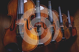 Row of multiple violins hanging on the wall, musician workshop