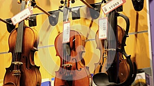 Row of Musical Violins with Price Tags are Hung on the Wall of a Music Store