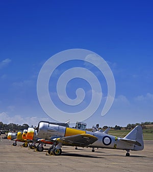 Row of N. American AT-6 Harvard