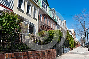 Row of Neighborhood Townhouses with Green Plants during Spring in Astoria Queens New York