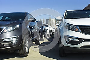 A row of new cars parked at a car dealer shop