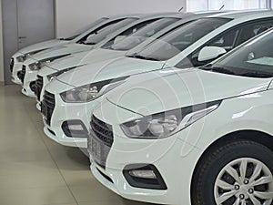 Row of new white sedan cars at car dealer showroom