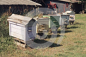 Row of old beehouses in home garden. Colored wooden boxes for beekeeping. Homemade honey production, apiculture.