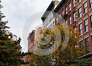 Row of Old Brick Buildings in SoHo of New York City with Colorful Trees during Fall