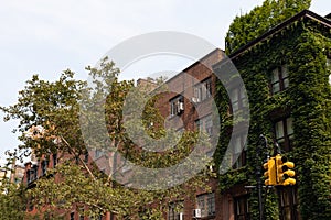 Row of Old Brick Residential Buildings with Green Trees and Ivy in Gramercy Park of New York City