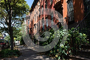 Row of Old Brownstone Homes in Clinton Hill in Brooklyn of New York City along an Empty Shaded Sidewalk