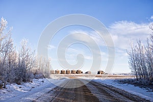 Row old grain bins in winter